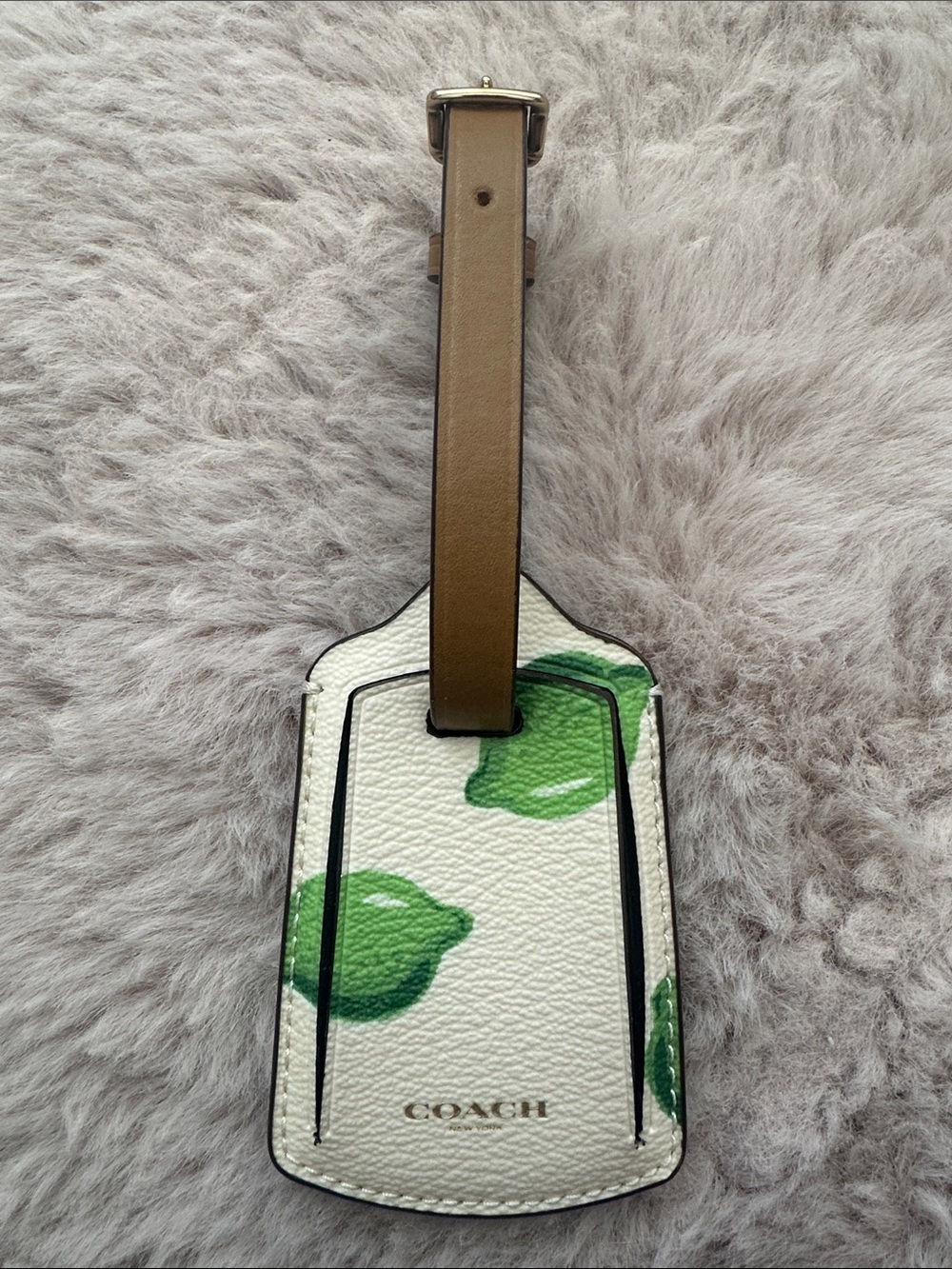 Coach Lemon Print Leather Luggage Tag - White & Green